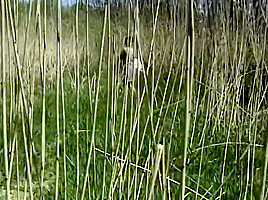 Nude Milf Masturbating Outdoors
